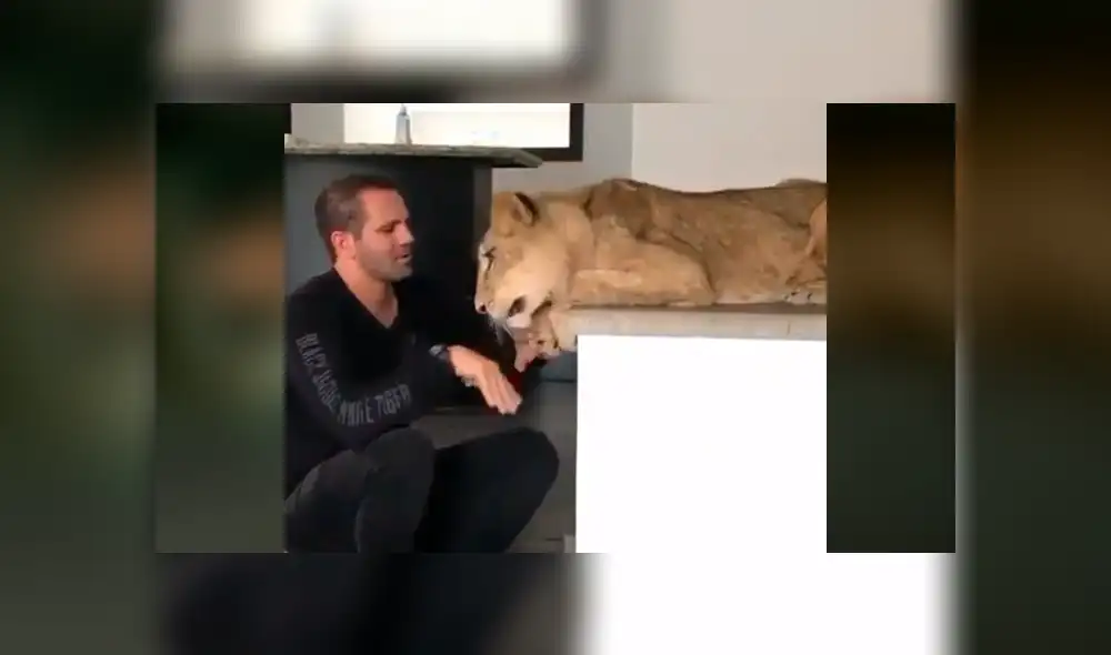 El protagonista del video viral de Facebook colocó su mano en las fauces de una leona arriesgando su vida.