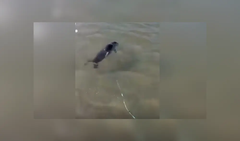 Desliza para ver los momentos más impactantes del video que se hizo viral en Facebook. Desliza para ver los momentos más impactantes del video que se hizo viral en Facebook.