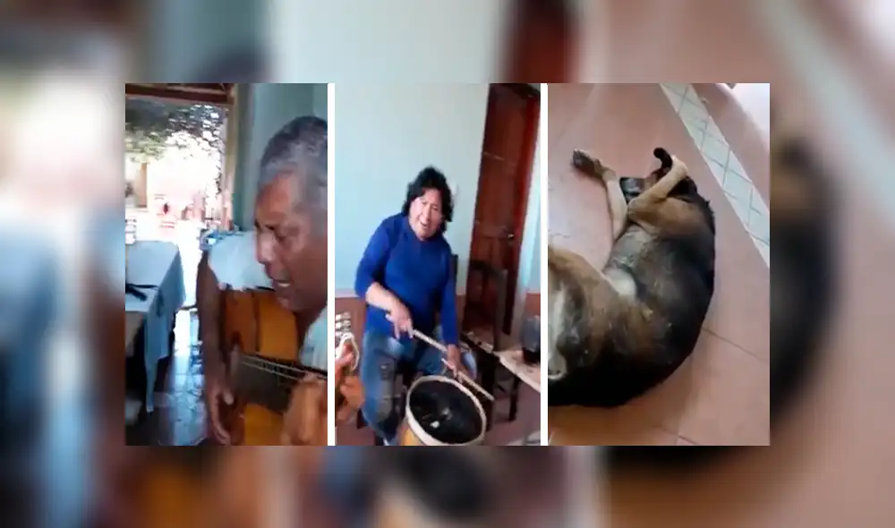 YouTube viral: Perro no soporta escuchar la serenata de su amo y hace lo impensado [VIDEO] 