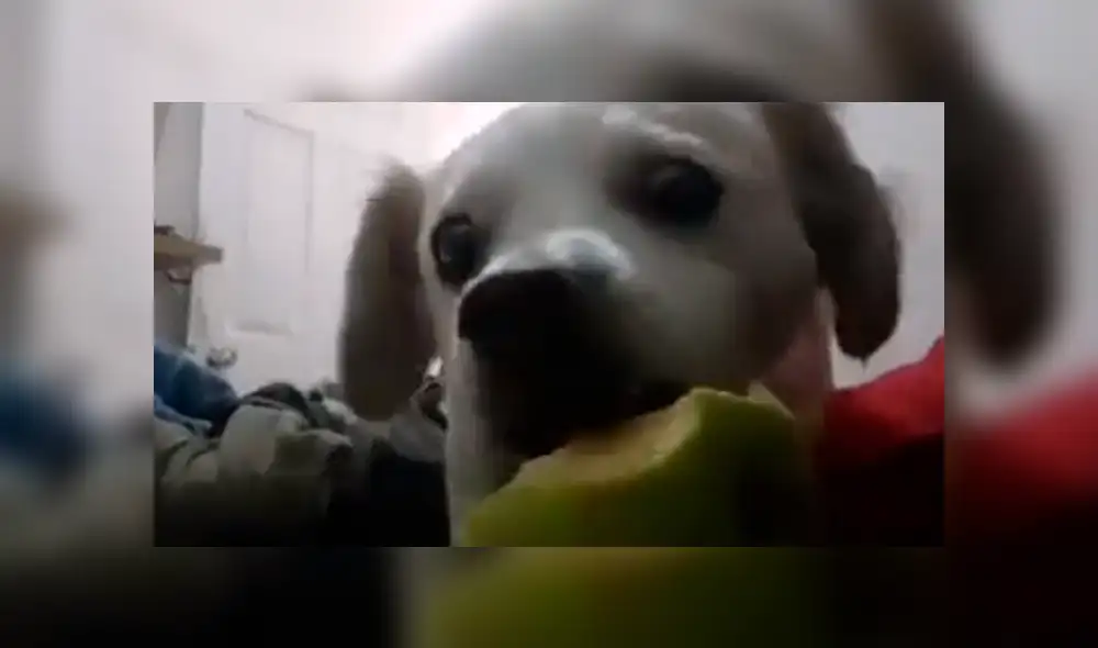 Desliza la imagen de TikTok para ver todas las fotos. Desliza la imagen de TikTok para ver todas las fotos.