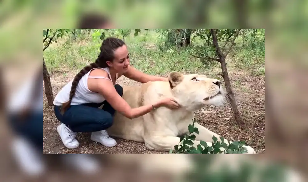 YouTube viral: Entra a calabozo de feroz depredador y este asombra a todos con una insólita reacción [VIDEO]