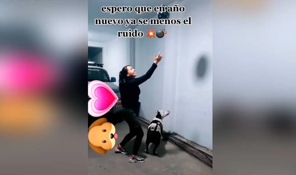 Desliza las imágenes para ver el curioso gesto que tuvo esta joven con su mascota para que no tenga miedo por los pirotécnicos. Foto: captura de TikTok/@sanea24