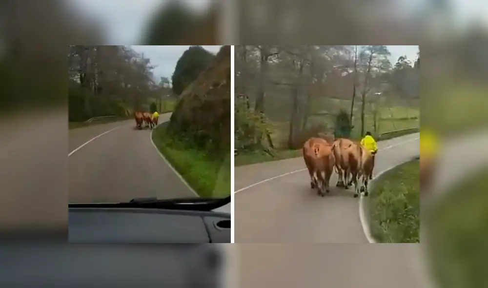 Video es viral en YouTube. El astuto hombre se ha ganado los aplausos de varios usuarios en las redes con su singular ocurrencia