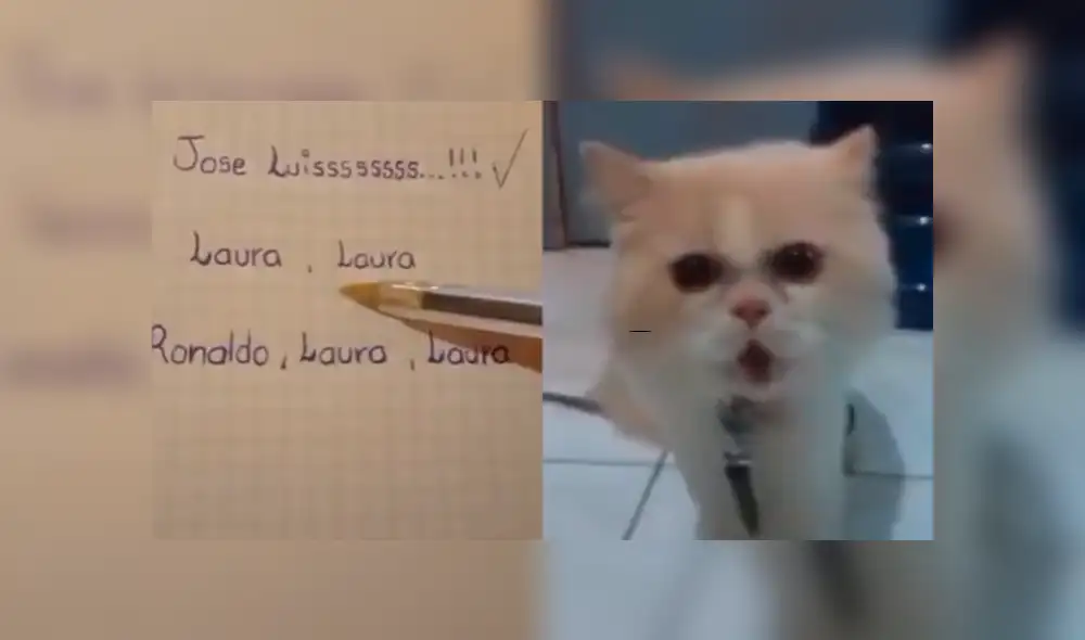 Facebook viral: graban a gato diciendo el nombre de sus dueños y miles se sorprenden [VIDEO]