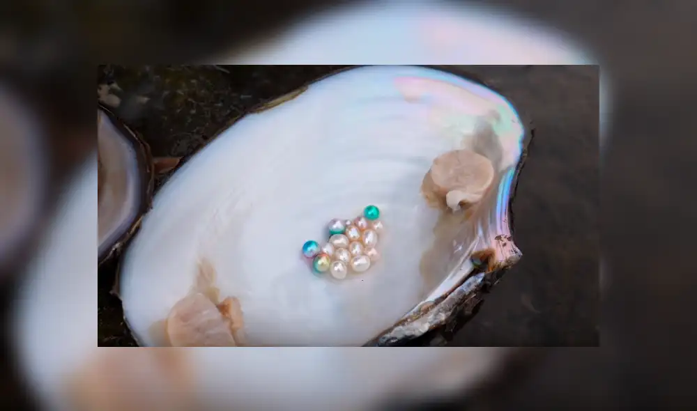 Desliza a la izquierda para ver el descubrimiento que ha sorprendido a los usuarios de YouTube. Foto: Captura. Desliza a la izquierda para ver el descubrimiento que ha sorprendido a los usuarios de YouTube. Foto: Captura.