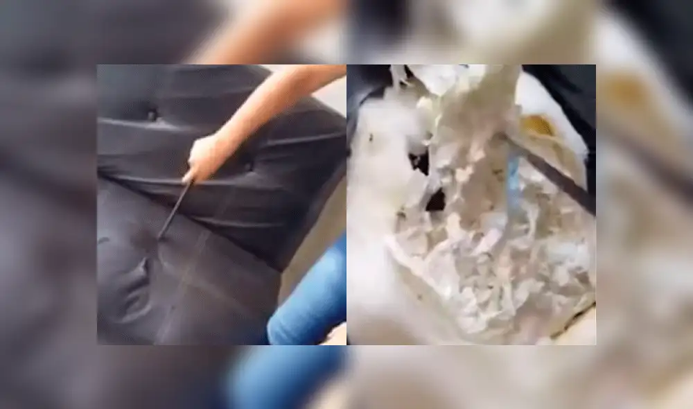 YouTube: Su mueble despedía mal olor y cuando lo abrió se llevó una desagradable sorpresa [VIDEO]