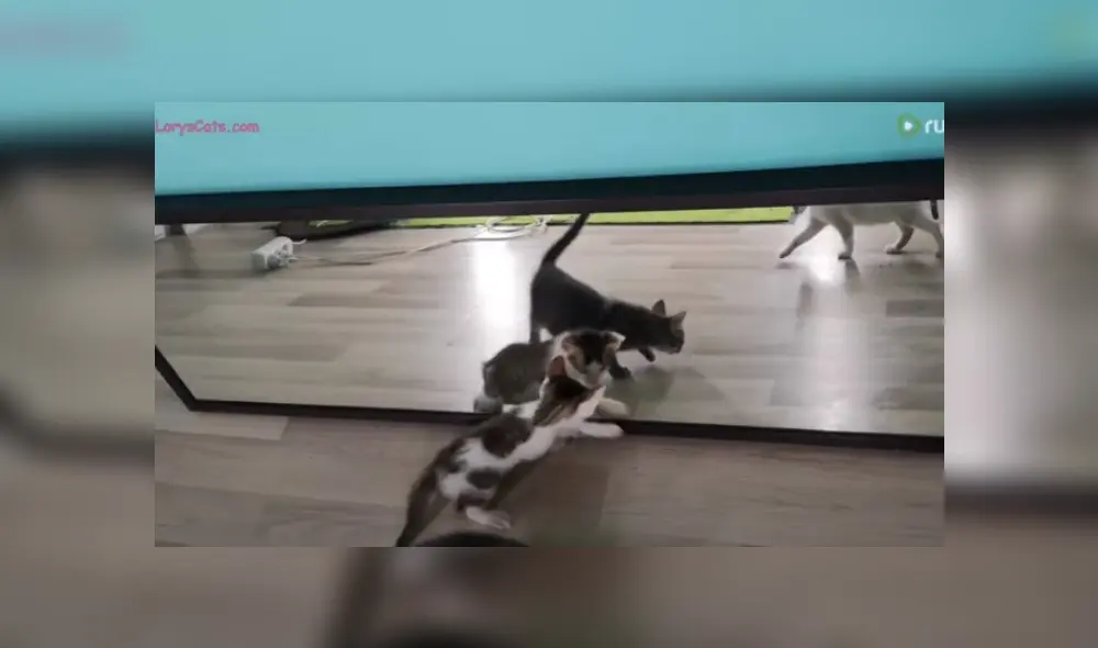 Desliza hacia la izquierda para ver más del video viral.