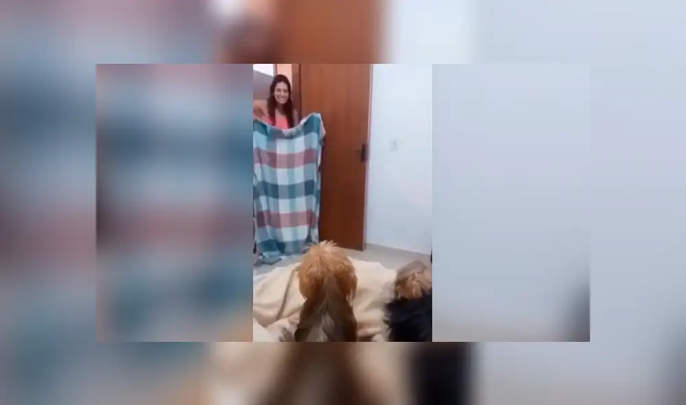 Desliza la imagen compartida para verlas todas. Foto: wikispain/TikTok Desliza la imagen compartida para verlas todas. Foto: wikispain/TikTok