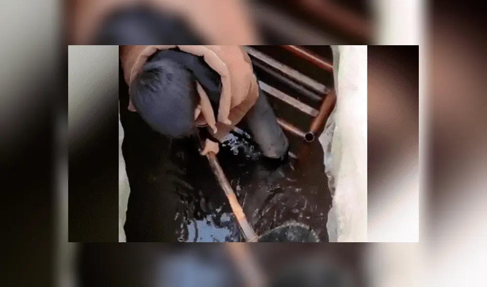 Facebook viral: Niño entra a pozo y descubre 'aterradoras' criaturas que sorprenden a miles [VIDEO]