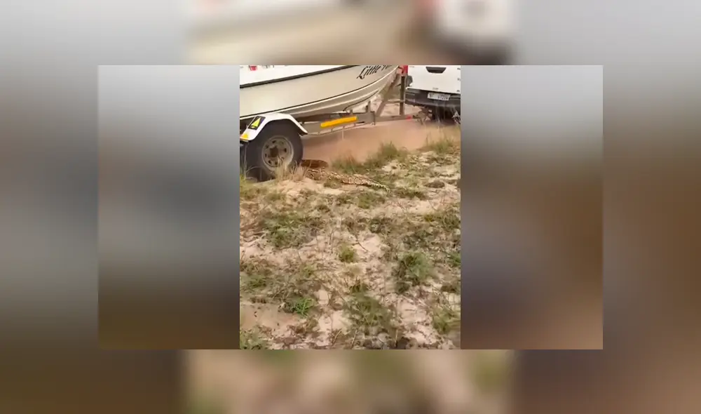 Los protagonistas del video viral de YouTube fueron acechados por una gigantesca criatura asesina. Los protagonistas del video viral de YouTube fueron acechados por una gigantesca criatura asesina.