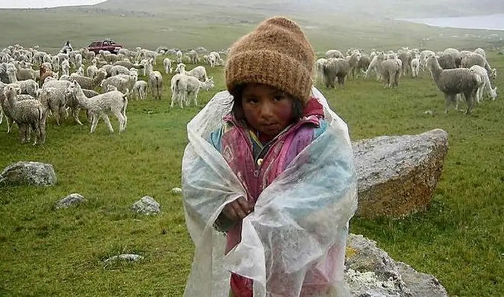 heladas en el sur del pais heladas en el sur del pais