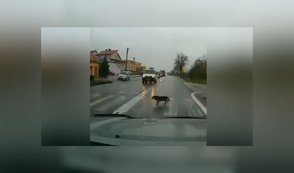 Desliza para ver los momentos más importantes del video que se hizo viral en YouTube. Desliza para ver los momentos más importantes del video que se hizo viral en YouTube.