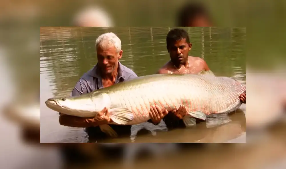 YouTube viral: monstruosa criatura atrapada en río aterra a pescadores [VIDEO]