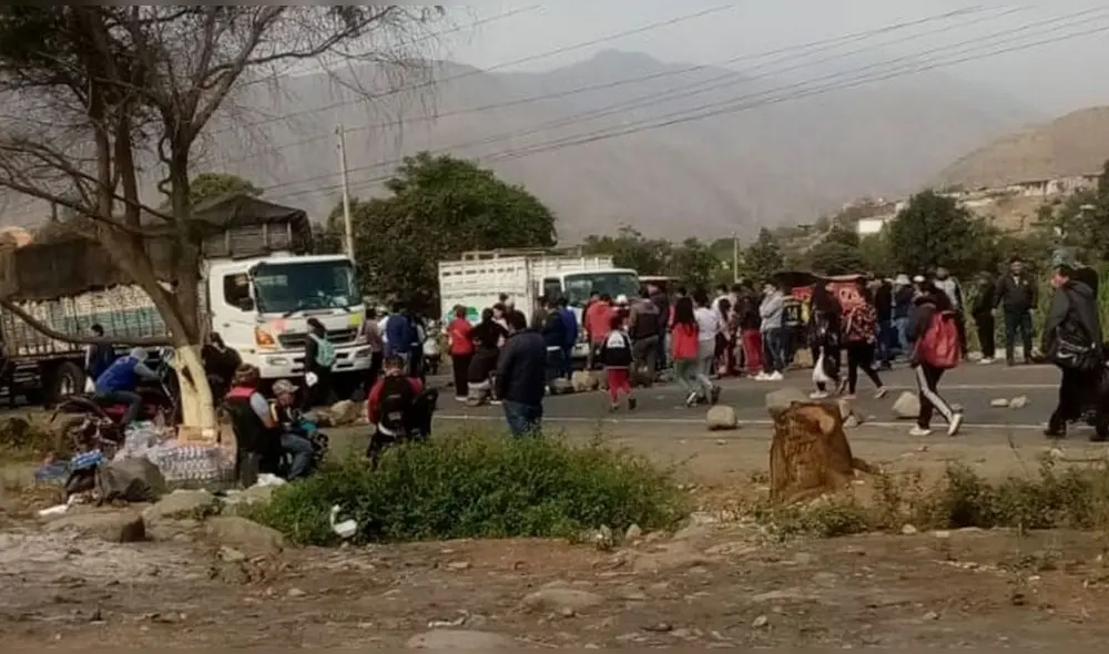 . Foto: Sergio Verde/URPI-LR