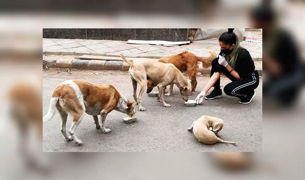 Desliza hacia la izquierda para ver las fotos virales de Facebook. Desliza hacia la izquierda para ver las fotos virales de Facebook.