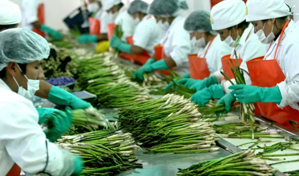 El beneficio que les ofrece la ley es un menor pago del Impuesto a la Renta: un 15% frente al 29,5% que pagan las empresas del régimen general. El beneficio que les ofrece la ley es un menor pago del Impuesto a la Renta: un 15% frente al 29,5% que pagan las empresas del régimen general.