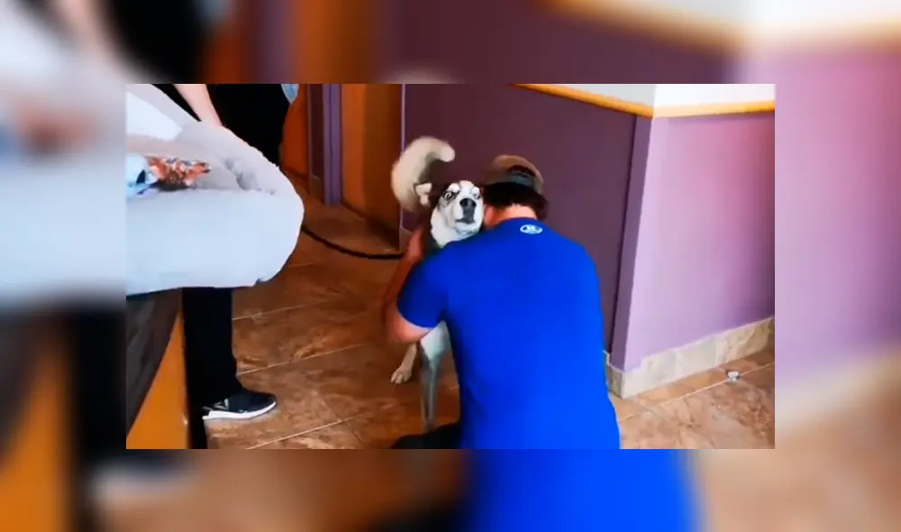 En Facebook, un joven realizó una intensa búsqueda para dar con el paradero de su perro y años después lo encontró en un albergue. En Facebook, un joven realizó una intensa búsqueda para dar con el paradero de su perro y años después lo encontró en un albergue.