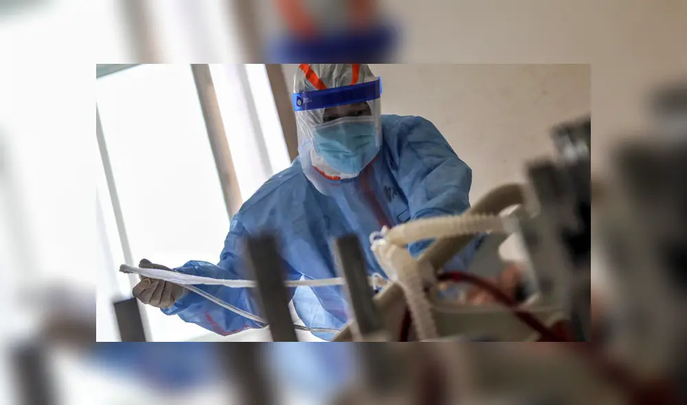 El virus del Nilo Occidental se transmite a través de la picadura de un mosquito infectado. Foto: AFP/referencial