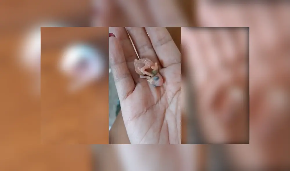 Desliza para ver el desenlace de este video viral publicado en YouTube. Foto: Captura.