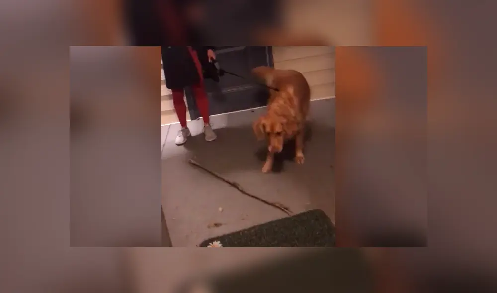 Desliza para ver todas las imágenes de Facebook. Foto: captura