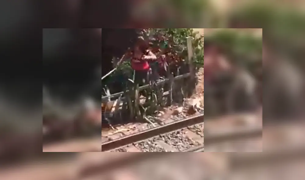 Cercado de Lima: denuncian maltrato de una mujer a un perro Cercado de Lima: denuncian maltrato de una mujer a un perro