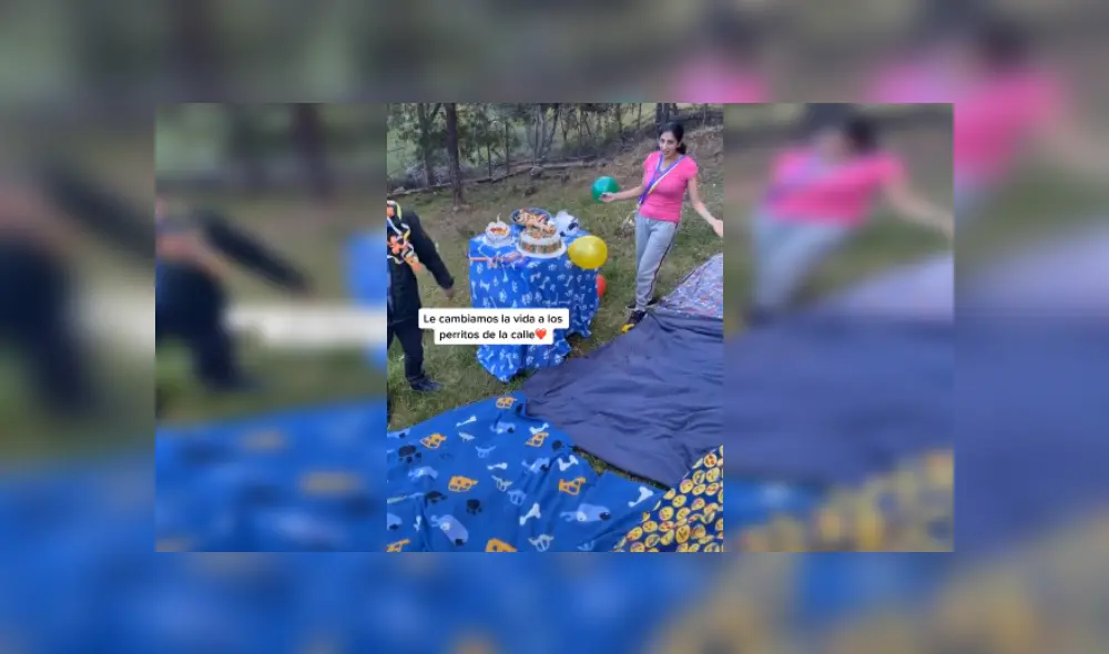 Desliza hacia la izquierda para ver más imágenes de esta divertida bienvenida. (Foto: captura / TikTok)