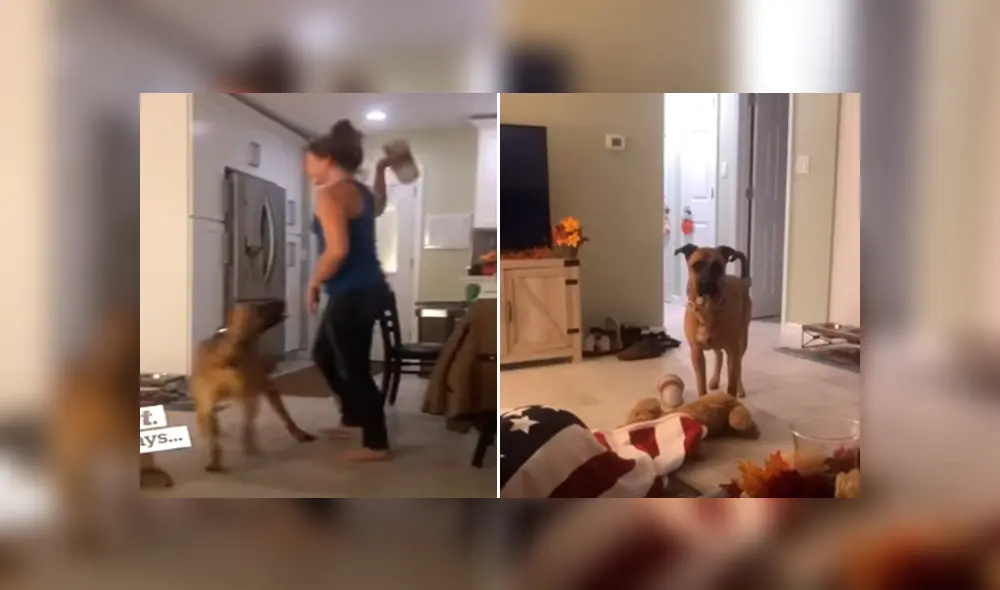 Desliza para ver los momentos más divertidos del video que se hizo viral en YouTube.