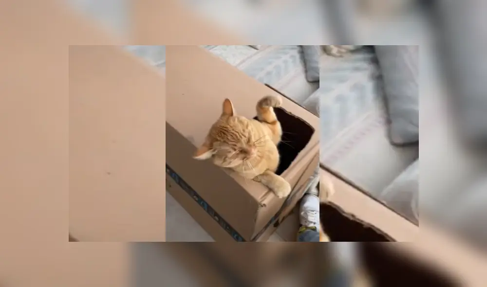 Desliza hacia la izquierda para ver más del video viral.