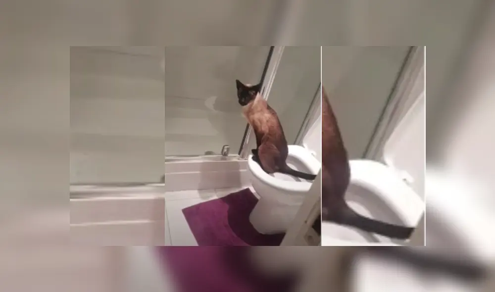 Desliza hacia la izquierda para ver más del video viral Desliza hacia la izquierda para ver más del video viral