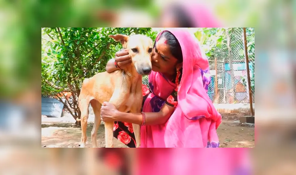 Un video viral de Facebook registró la radical evolución de un perro callejero que fue llevado a un veterinario.