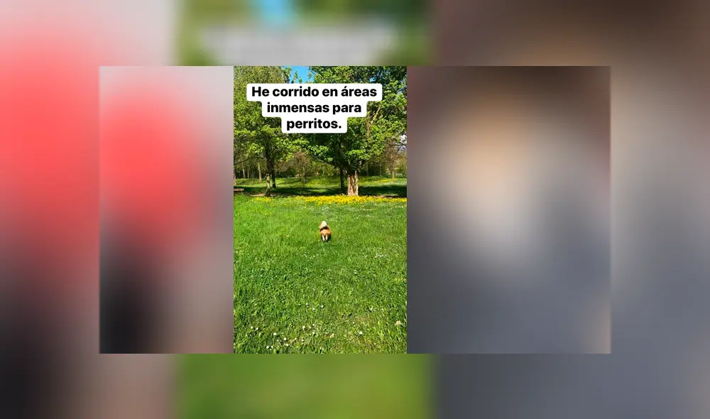 Desliza para ver los detalles de esta historia que conmovió a todos en Facebook. Foto: Captura. Desliza para ver los detalles de esta historia que conmovió a todos en Facebook. Foto: Captura.