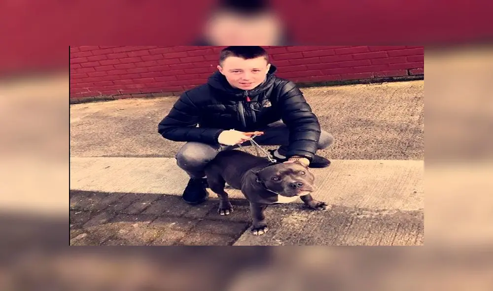 La población de Saint Dominic’s Bridge todavía no puede creer que haya sucedido un hecho tan atroz. Foto: Irish Mirror