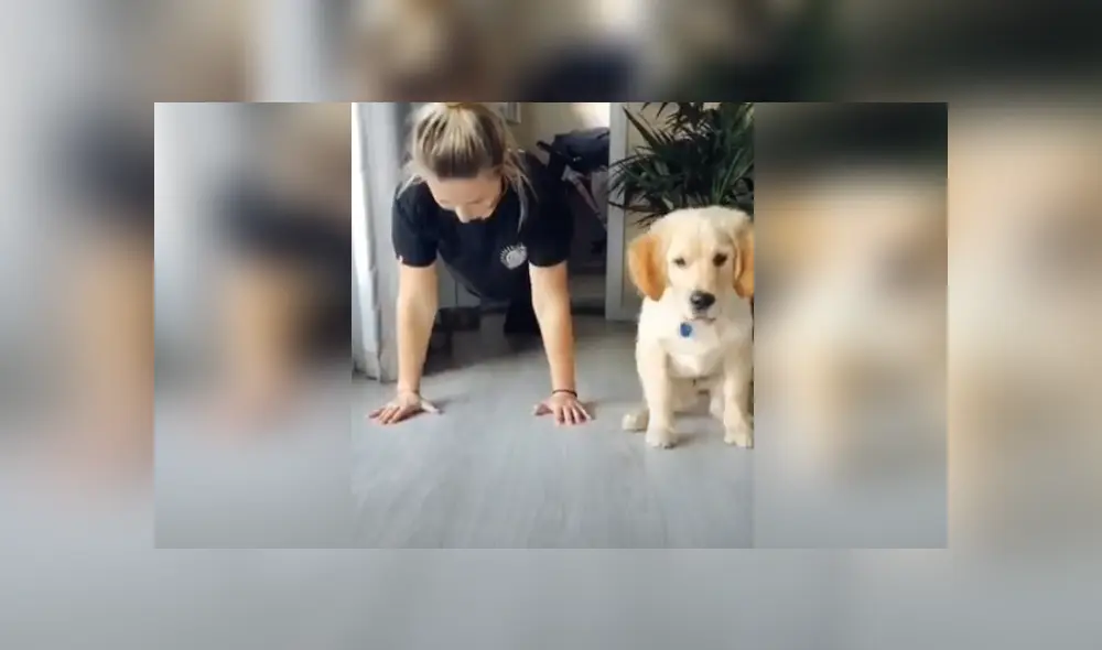 Desliza hacia la izquierda para ver la divertida escena viral de YouTube. Foto: ViralHog. Desliza hacia la izquierda para ver la divertida escena viral de YouTube. Foto: ViralHog.