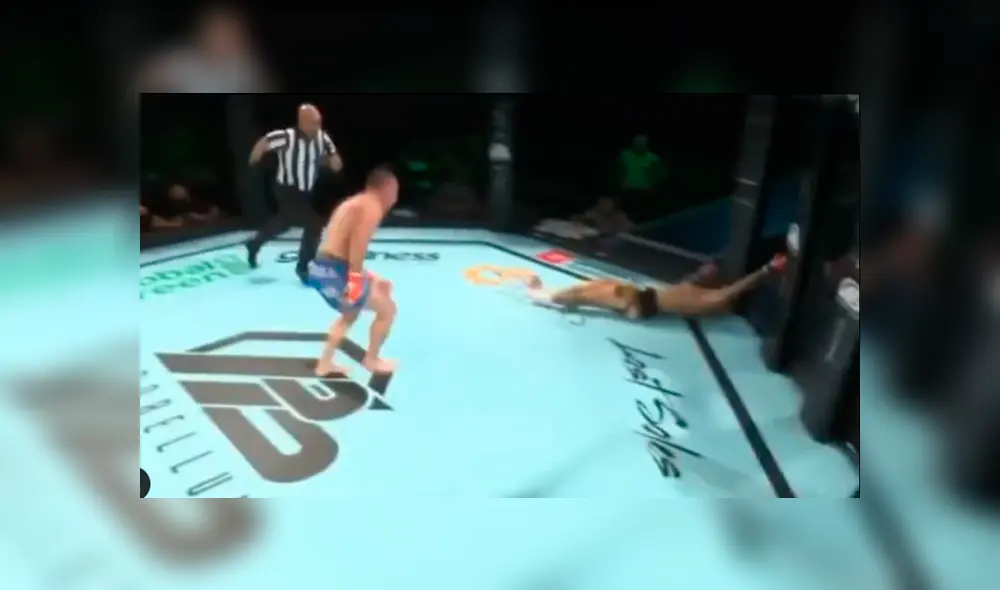 La patada que es candidata a mejor nocaut del año. Foto: Probellum MMA. La patada que es candidata a mejor nocaut del año. Foto: Probellum MMA.