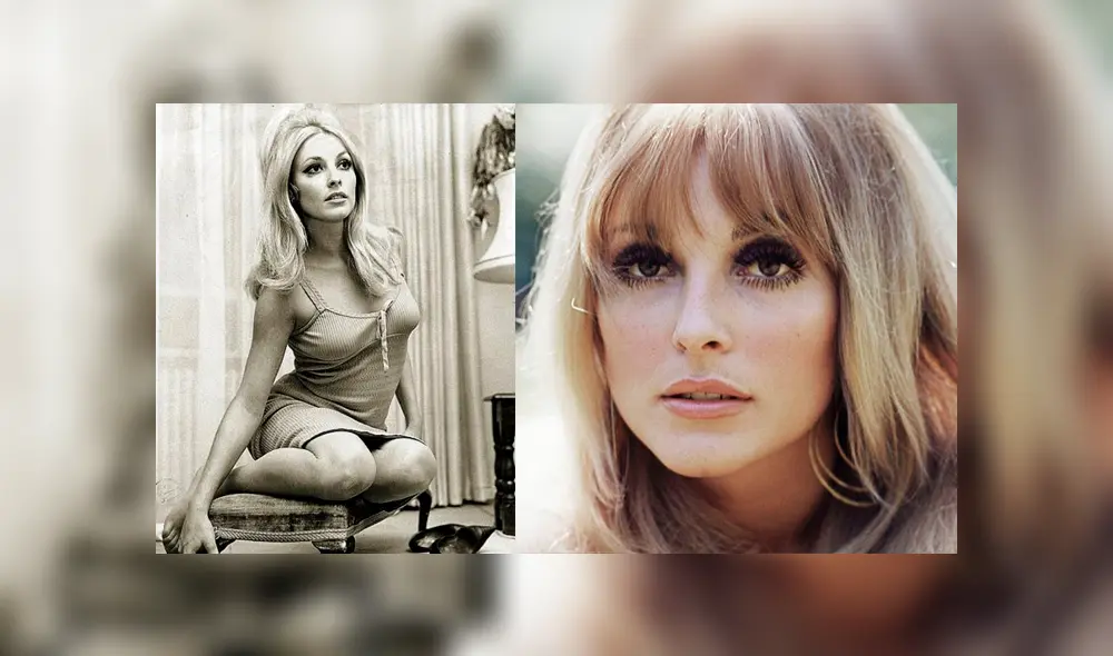 Sharon Tate: últimas palabras de la actriz cuando fue asesinada por la familia de Charles Manson