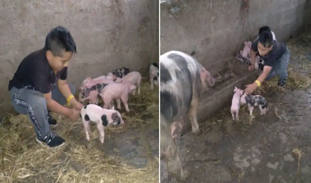 Desliza las imágenes para ver más sobre esta historia que conmovió a miles en redes sociales. Foto: captura de YouTube