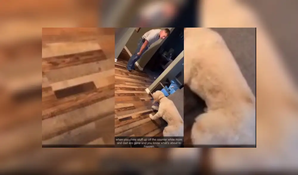 Desliza hacia la izquierda para ver más del video viral. Fotocaptura: YouTube