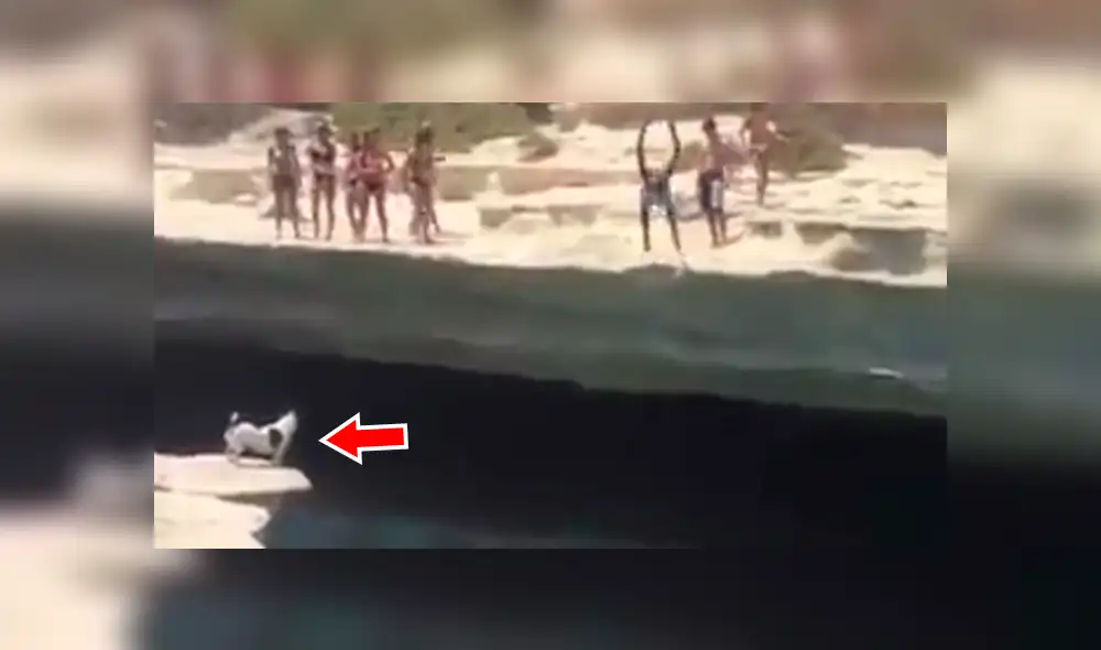 Facebook viral: Perro ve a su amo lanzarse a lago y realiza valiente sacrificio para salvarlo [VIDEO] 