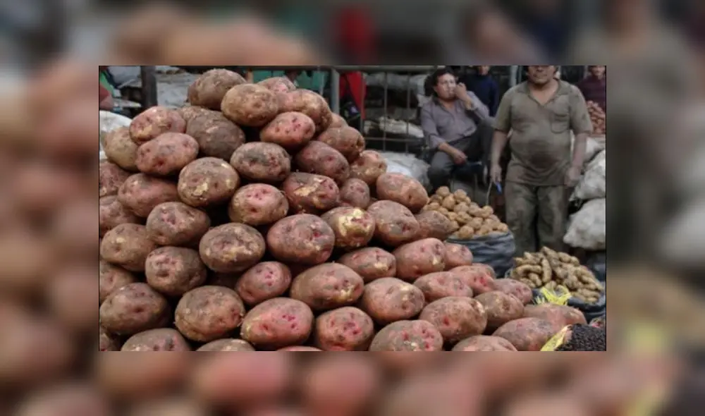 Importación de papa trajo precios abajo