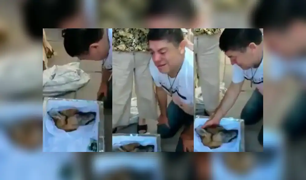 Facebook: hombre llora desconsoladamente cuando vela a su mejor amigo canino [VIDEO]