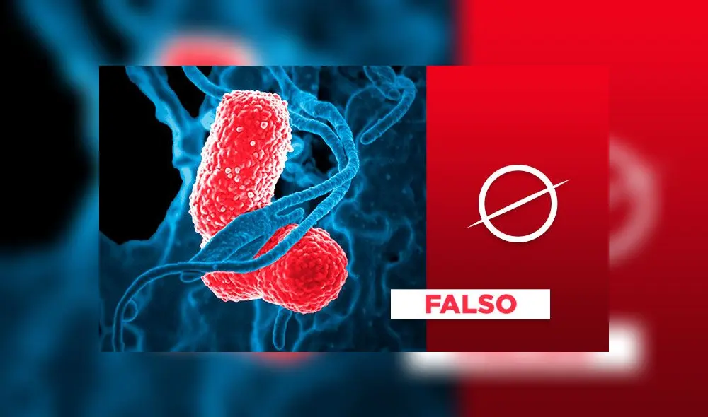 Publicación sobre el VIH recogía datos de una columna publicada el año pasado. Publicación sobre el VIH recogía datos de una columna publicada el año pasado.