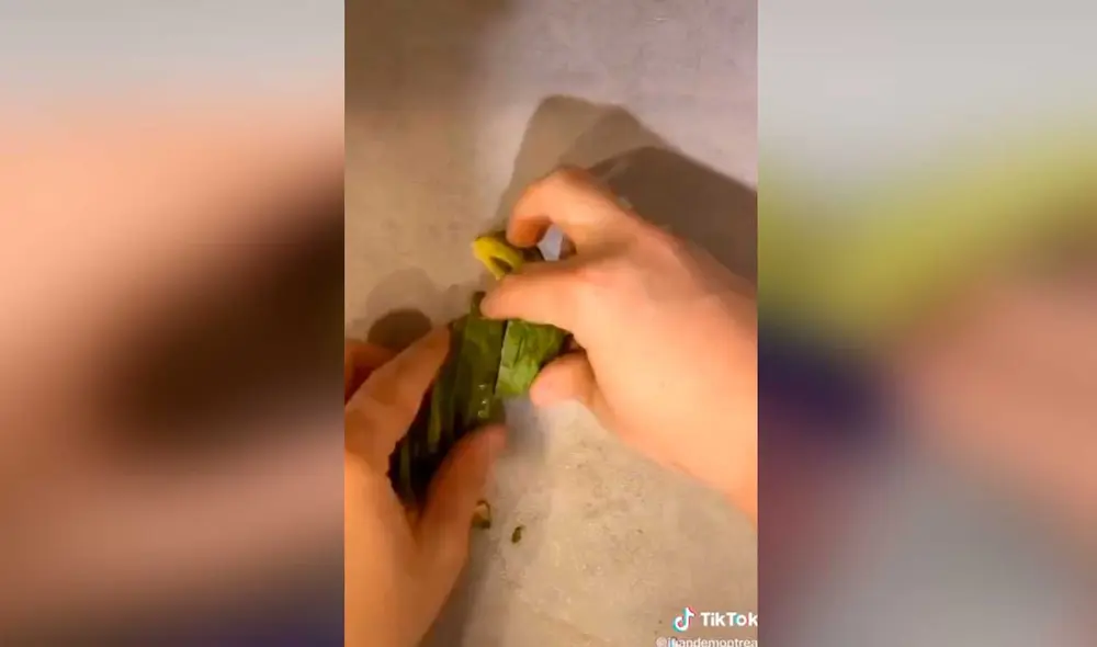 Desliza las imágenes para ver el inesperado resultado que obtuvo este hombre al seguir al pie de la letra una receta de cocina. Foto: Captura de TikTok/Juan De Montreal