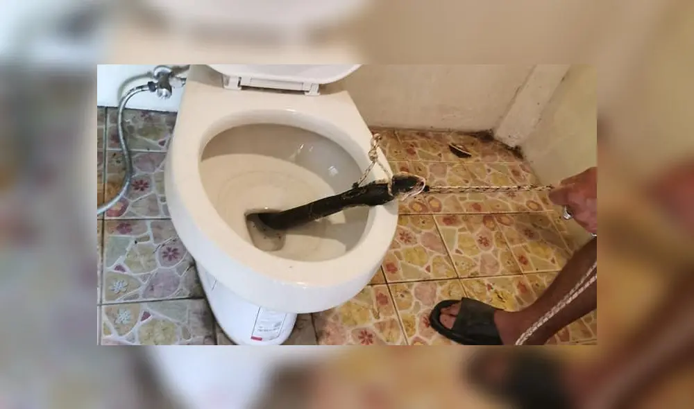 Desliza a la izquierda para ver el terrible hallazgo. Foto: Captura.