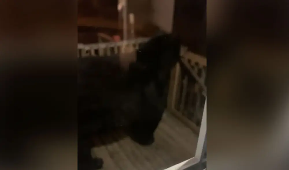 Desliza las imágenes para ver más detalles sobre estas imágenes que impresionaron a los usuarios. Foto: captura de YouTube Desliza las imágenes para ver más detalles sobre estas imágenes que impresionaron a los usuarios. Foto: captura de YouTube