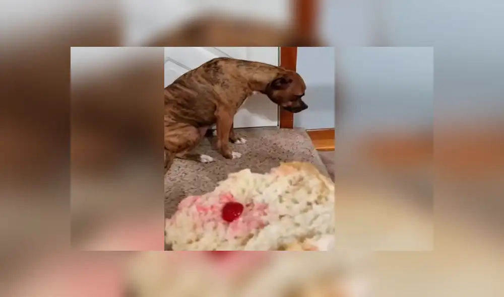 Desliza para ver los mejores momentos del video que se hizo viral en YouTube.