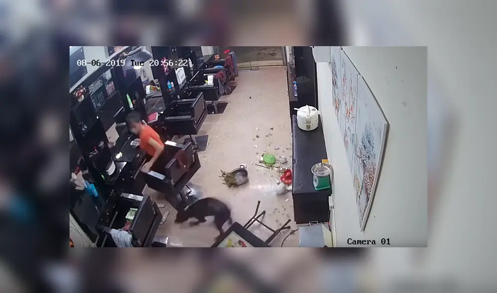 Facebook viral: peluquera se queda sin comida por la culpa de travieso perro y no lo puede creer [VIDEO] 