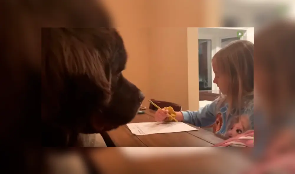 Es viral en Facebook. La peculiar conducta del can sorprendió a la mamá de la niña. Quien no dudó en grabarla para compartirla en redes Es viral en Facebook. La peculiar conducta del can sorprendió a la mamá de la niña. Quien no dudó en grabarla para compartirla en redes