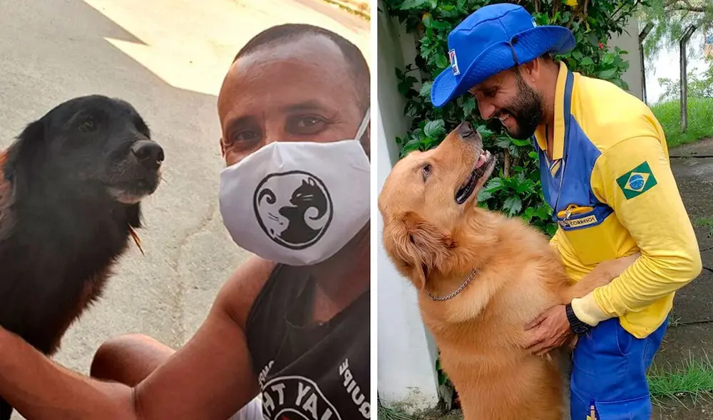 Desliza las imágenes para conocer la historia de un cartero quien ayuda a perros y gatos que viven en la calle. Foto: Instagram