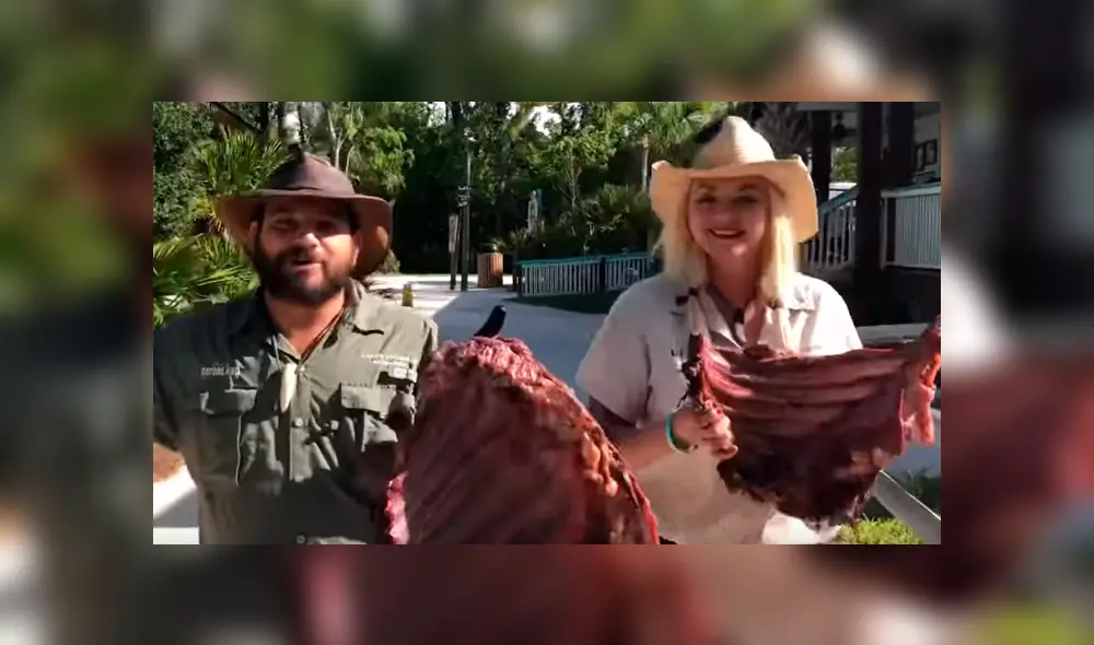 Jóvenes arrojan enormes trozos de carnes a piscina invadida de cocodrilos y sucede lo peor. Jóvenes arrojan enormes trozos de carnes a piscina invadida de cocodrilos y sucede lo peor.