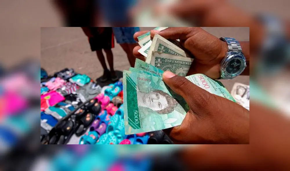 Dólares en Venezuela. Foto: AFP.